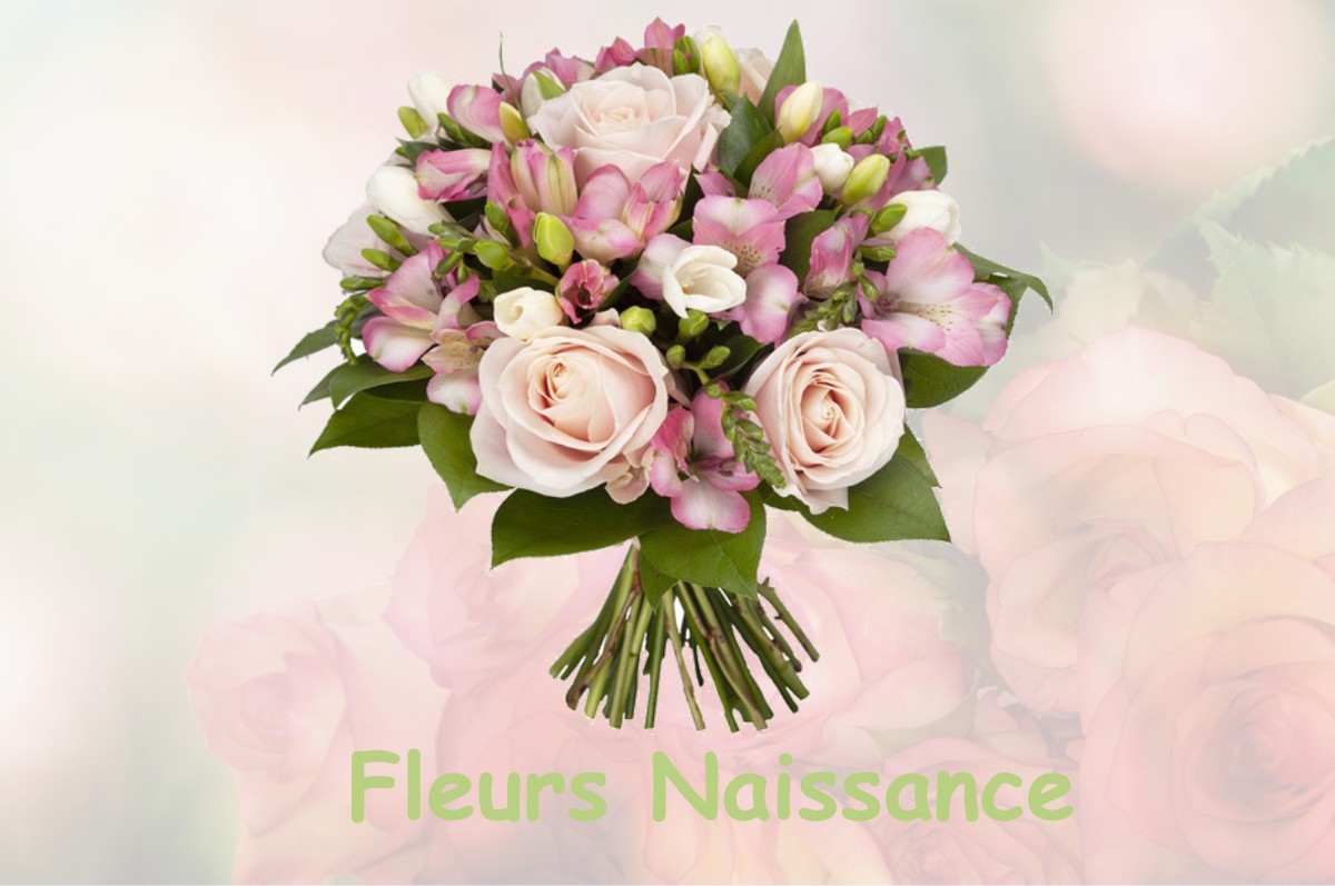 fleurs naissance PESSAC-SUR-DORDOGNE